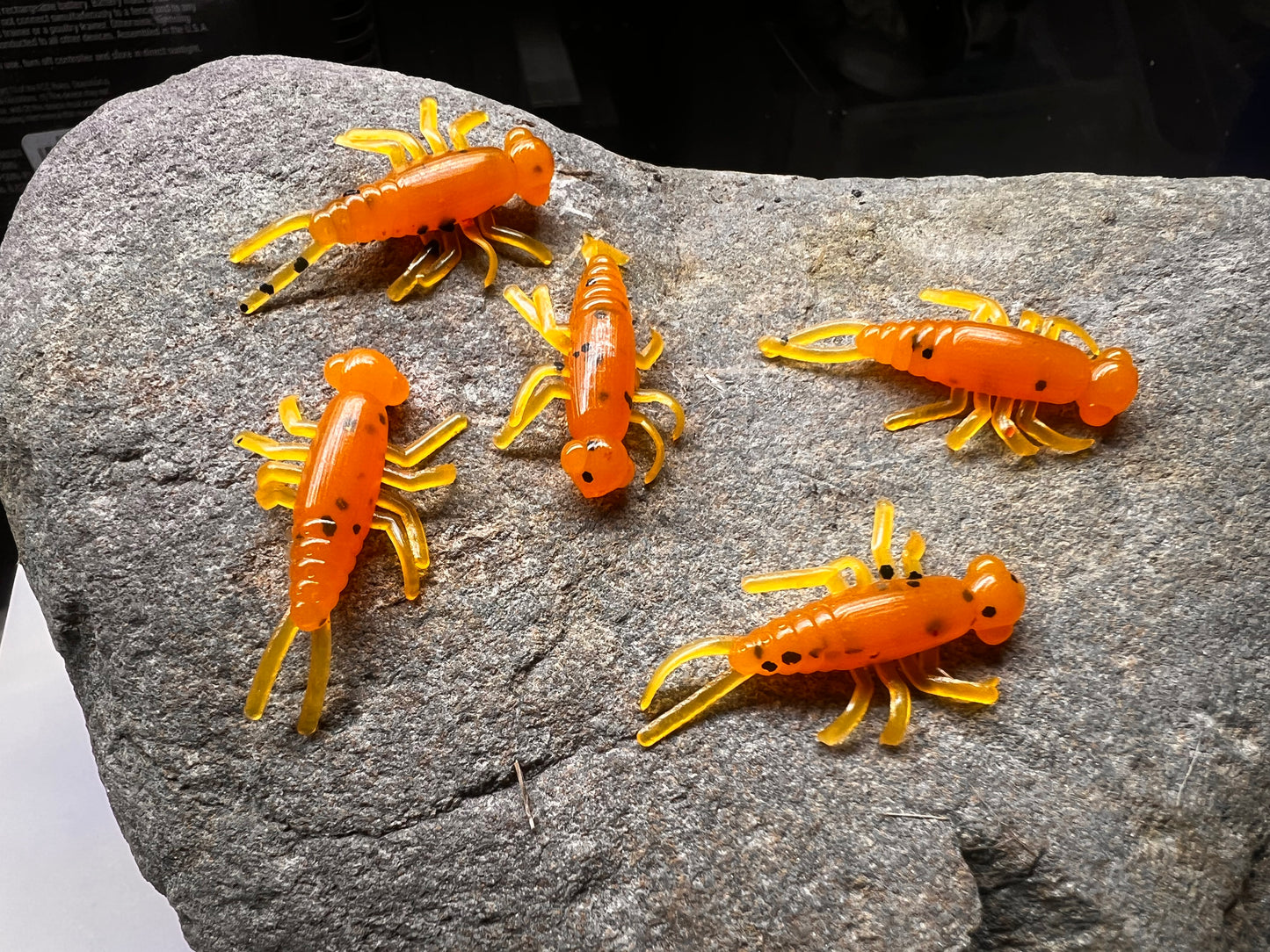 Stone Critters 1 3/8” Bugs